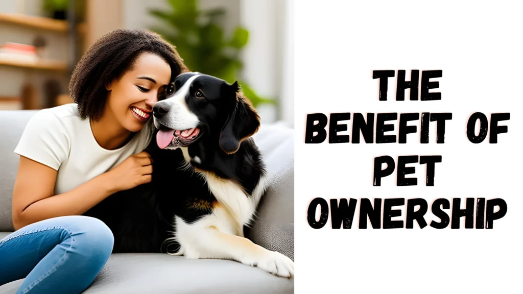 Pet Therapy Benefits
Pet ownership
Wellbeing
Therapy animals
Emotional support animals
Pet-assisted interventions
Animal-assisted therapy