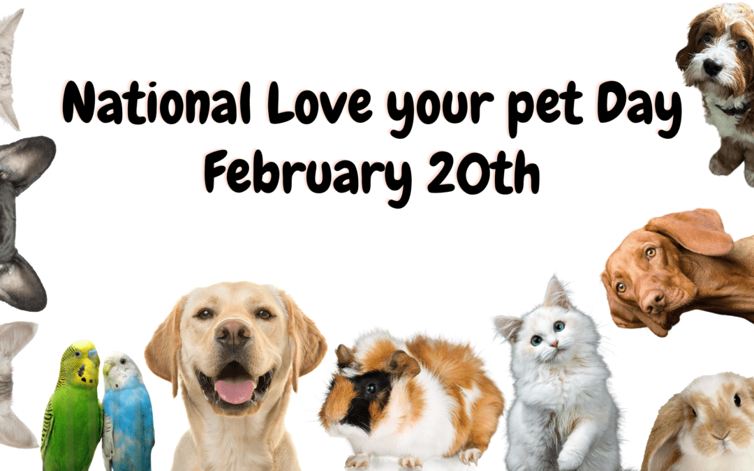 Celebrating Love your Pet Day